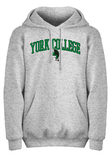 EIGHTY EIGHT HOODED SWEATSHIRT YORK COLLEGE ARCHED OVER SPARTAN HEAD