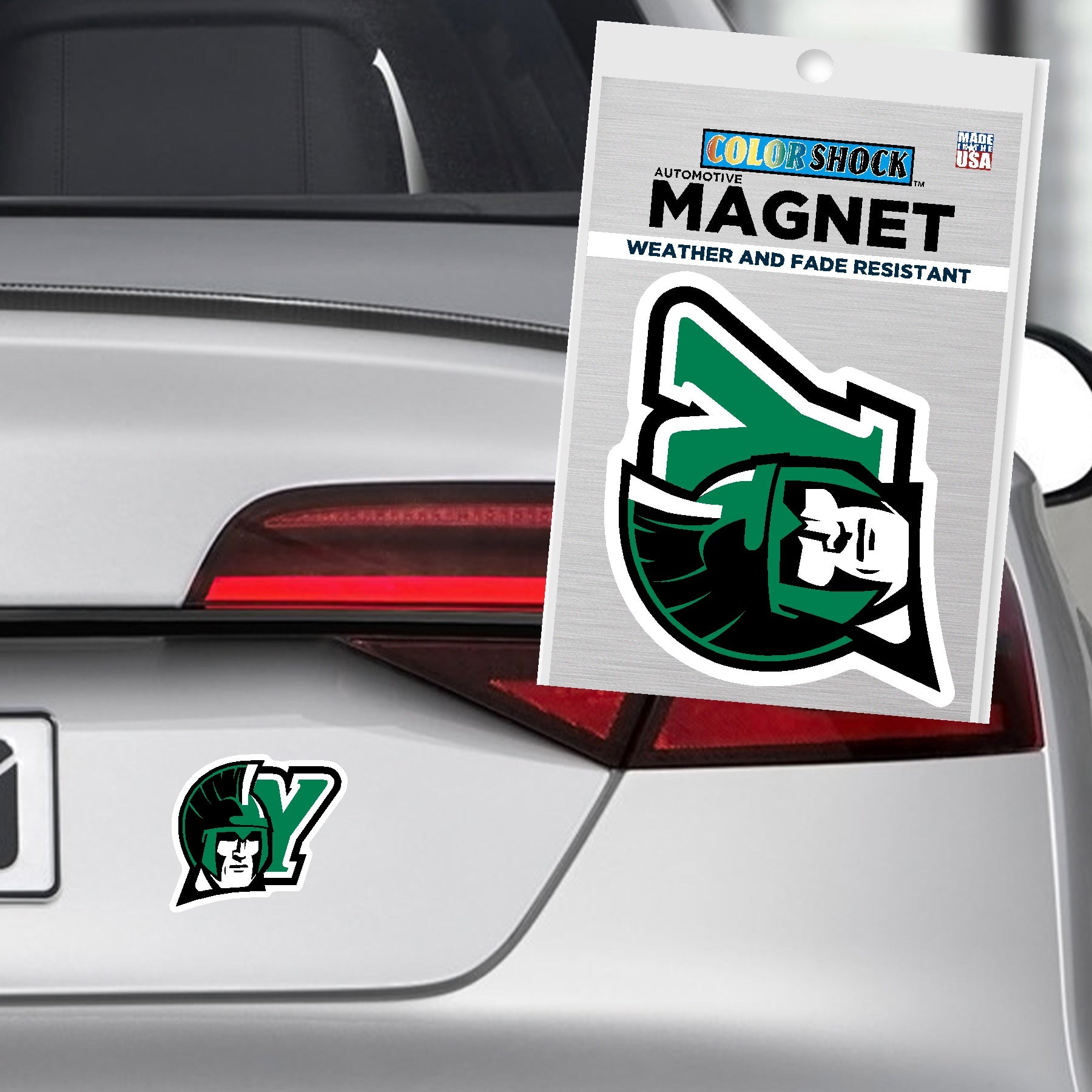 Magnet: Spartan Head with Y - 4"x4"