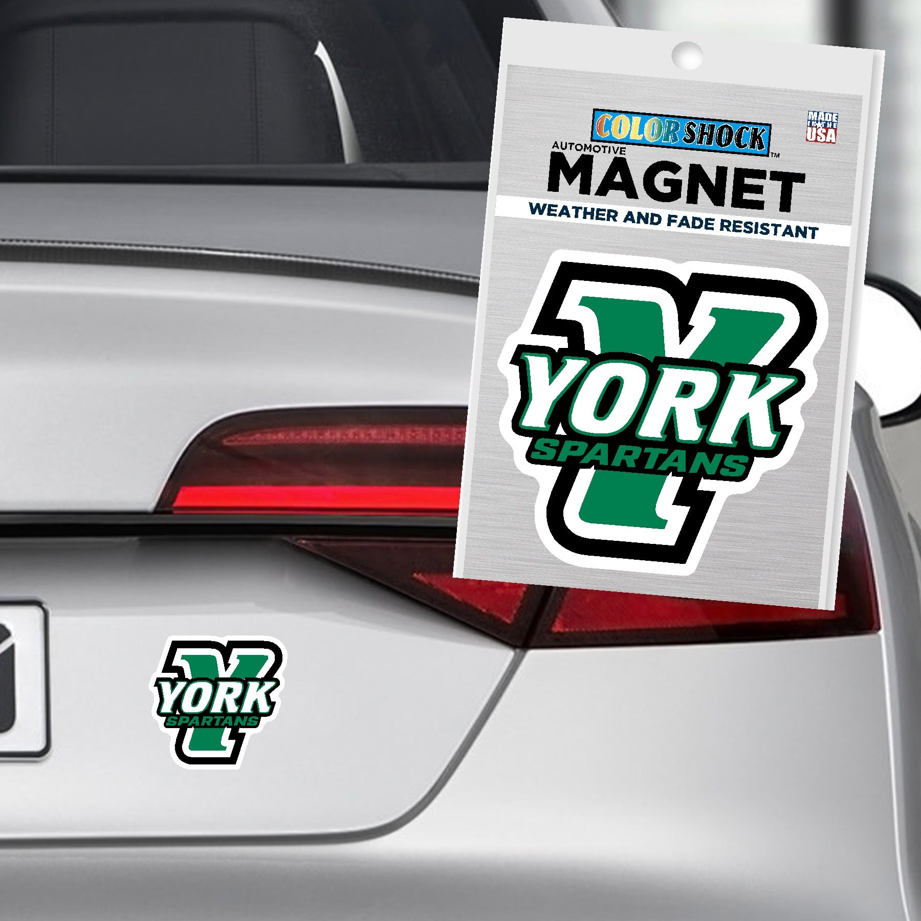 Magnet: Y + York Spartans - 3.5"x3.5"