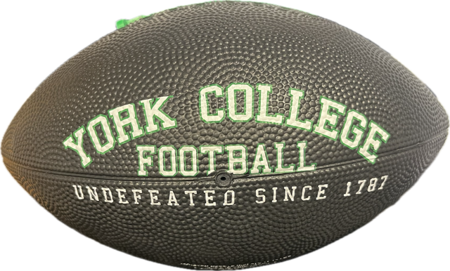 Spartans Mini Football