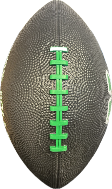 Spartans Mini Football