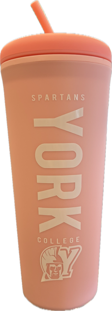 Tumbler: Sinclair Travel - 26oz