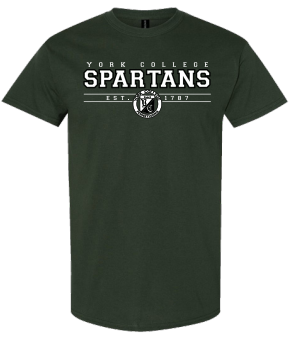 GILDAN CLASSIC YORK COLLEGE SHORT SLEEVE T-SHIRT