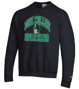CHAMPION POWERBLEND VINTAGE CREW
