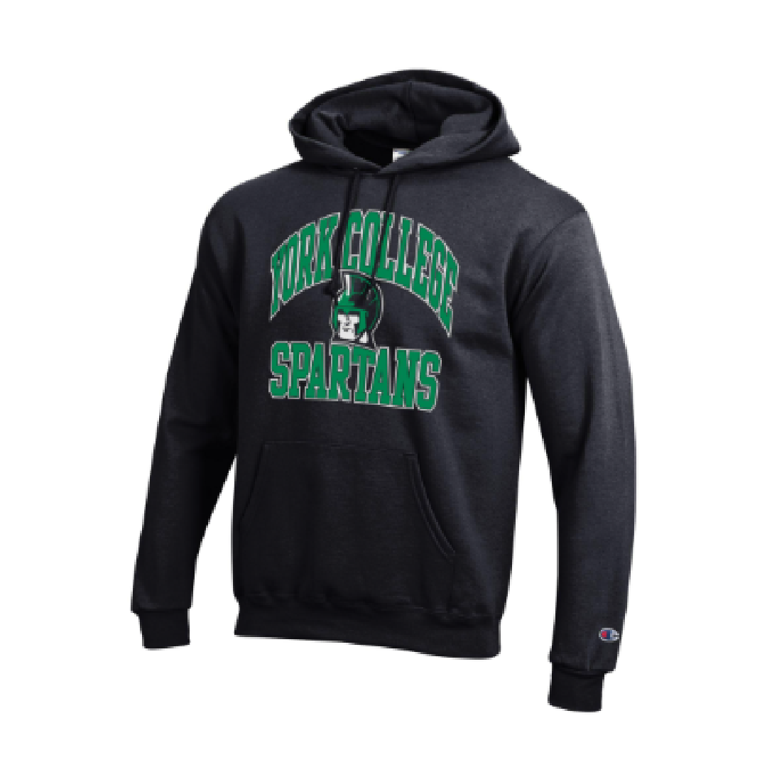 CHAMPION POWERBLEND VINTAGE HOOD