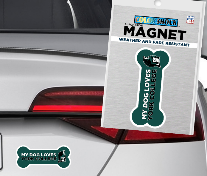 Magnet: Dog Bone - 6"x2.75"