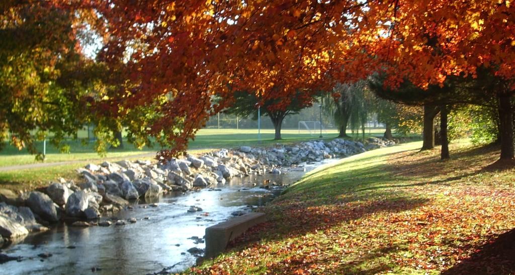 Fall Top Picks