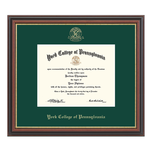 DIPLOMA FRAME REGENCY GOLD MOULDING WITH EMBOSSED SEAL OF YORK COLLEGE OF PA SEA