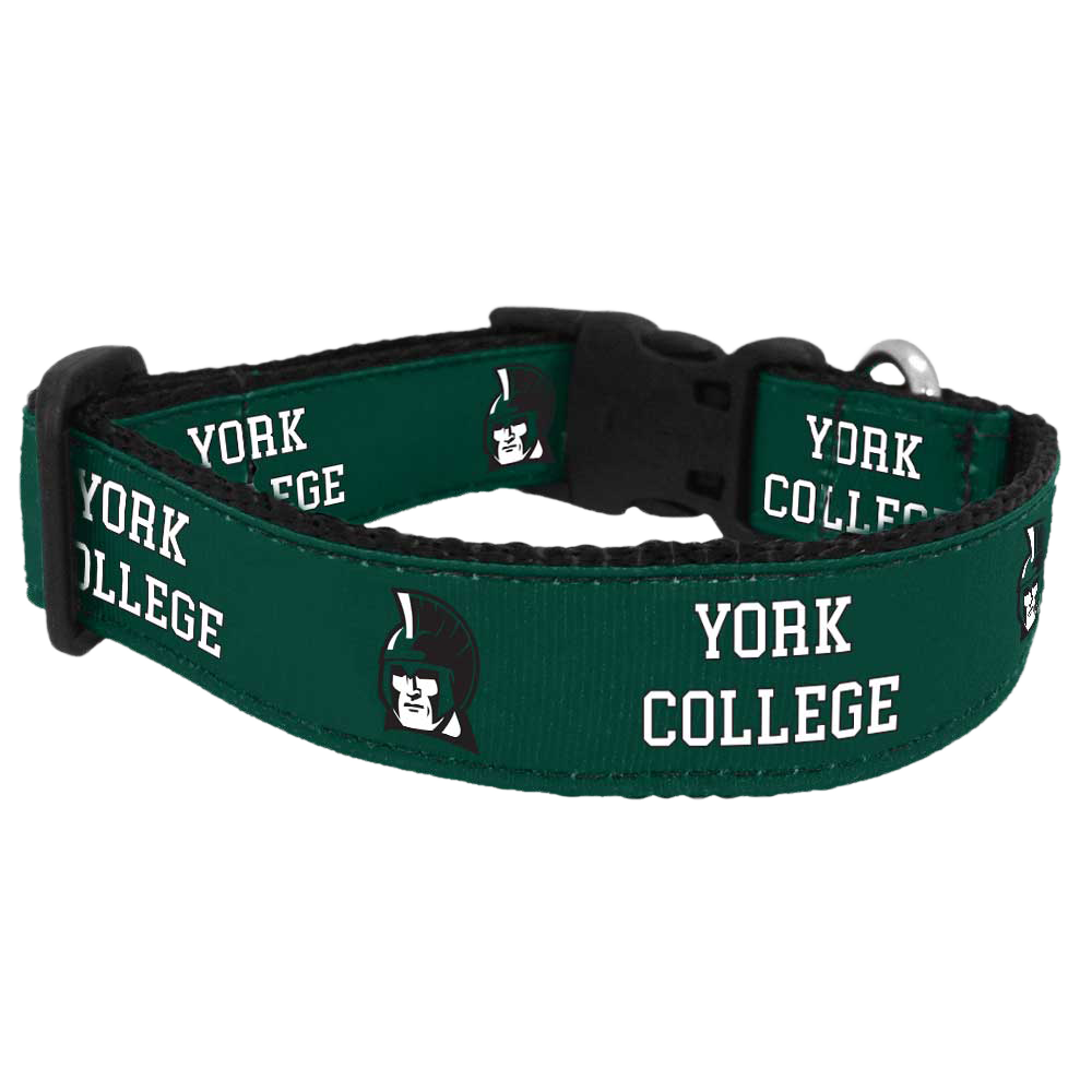 DOG COLLAR YCP LOGO MEDIUM