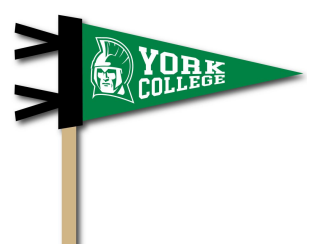 Pennant: Mini Traditional - 4" x 9"