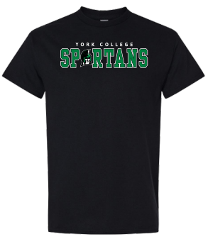 GILDAN SPARTY SHORT SLEEVE T-SHIRT