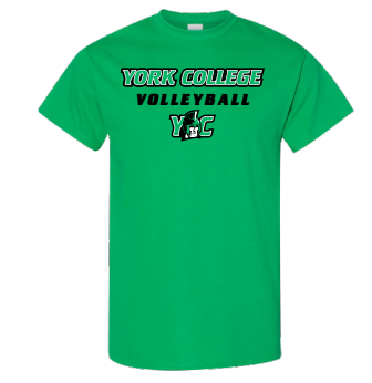 GILDAN S/S T-SHIRT VOLLEYBALL