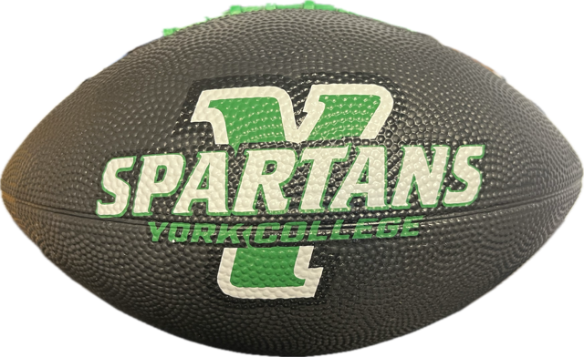 Spartans Mini Football